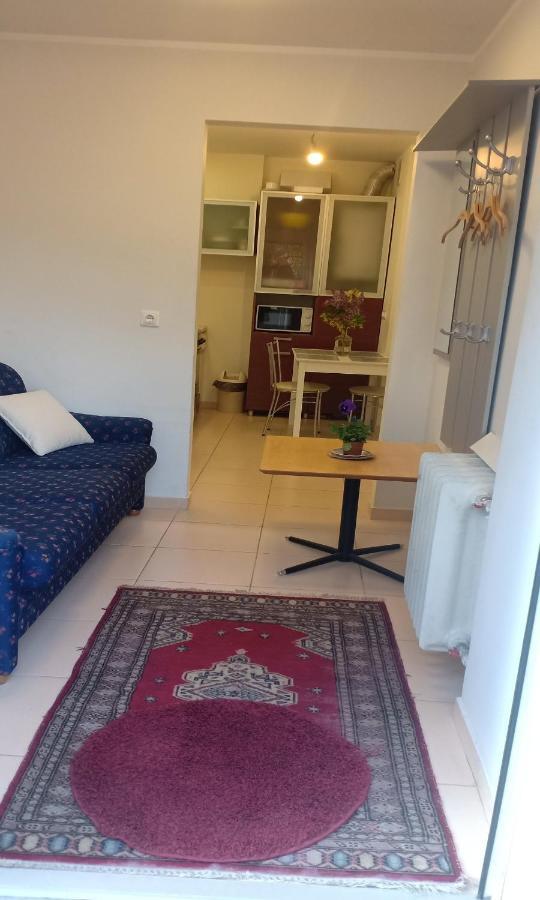 Kaunas Downtown Apartments Екстер'єр фото